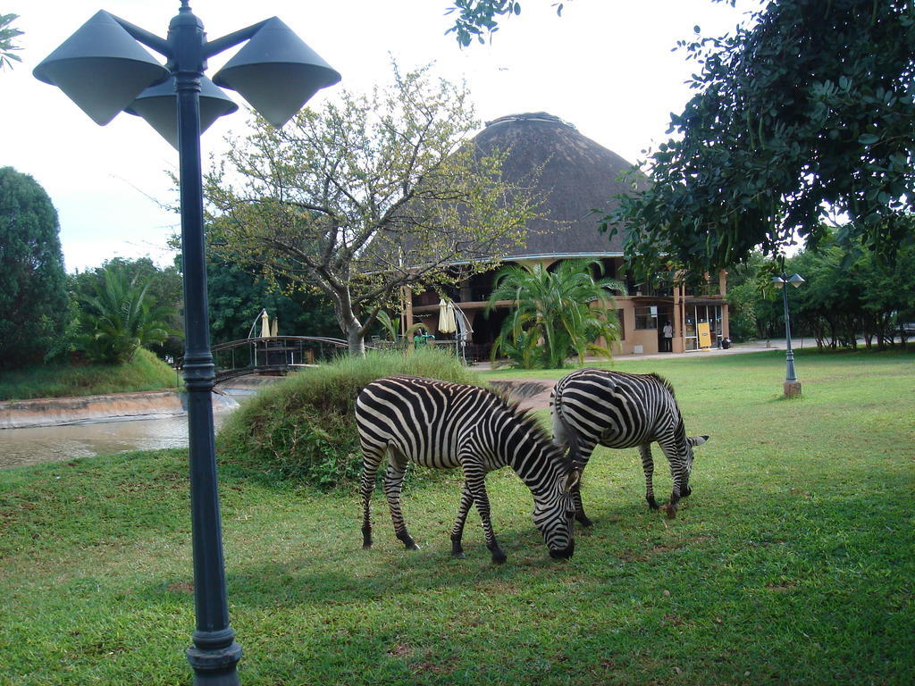 Kaazmein Lodge Livingstone Exteriér fotografie